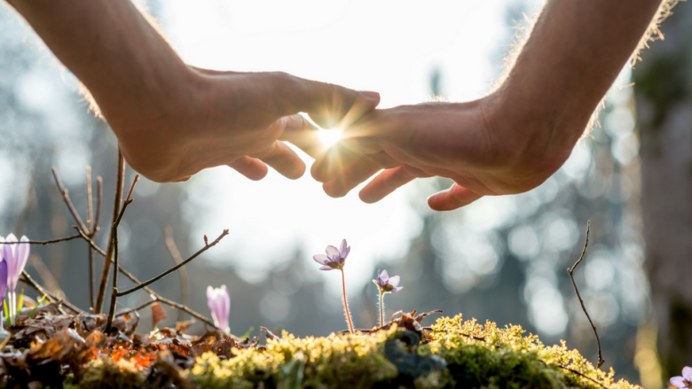 The Light of Reiki and Seichim The Light of Reiki and Seichim