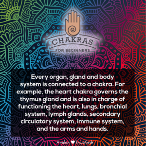 Chakras for Beginners