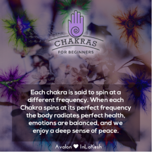 Chakras for Beginners