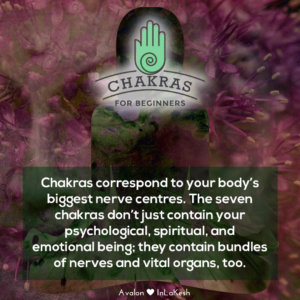 Chakras for Beginners
